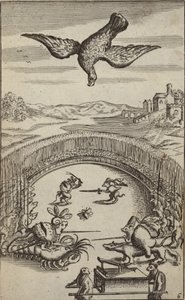 Illustrazione di un libro per bambini con animali e uccelli da French School