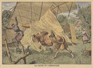 Una mucca attacca un aeroplano nel Midwest americano