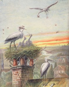 Nido di cicogna (litografia a colori)