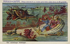 Una squadra strana nell