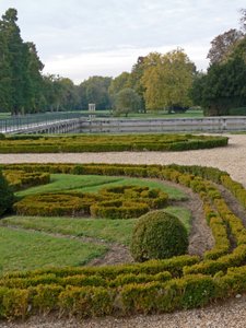 Veduta del Castello: i giardini da French School