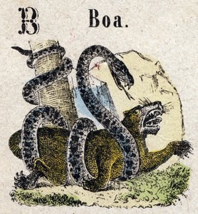 Abecedario. Lettera B come Boa. Piccolo alfabeto enciclopedico, serie popolare. Immagini di Epinal, fine XIX secolo