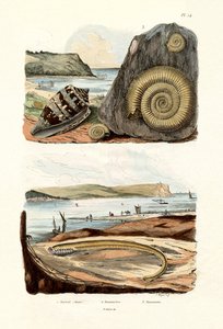 Ammiraglio Cone, 1833-39 da French School