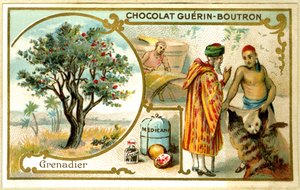 Cromolitografia pubblicitaria dei cioccolati Guérin Boutron