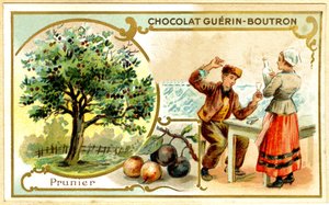 Cromolitografia pubblicitaria dei cioccolati Guérin Boutron da French School