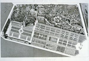 Veduta aerea del piano del Jardin des Plantes a Parigi, 1842 da French School