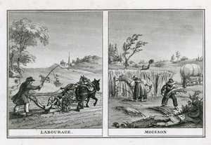 Scene agricole di aratura e raccolta