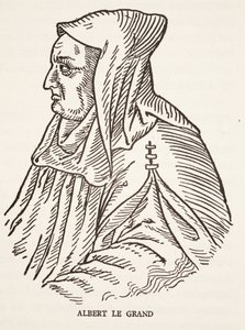 Alberto Magno da French School