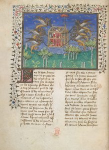 Macchina volante con grifone di Alessandro, 1420-25 circa (colore su pergamena) da French School