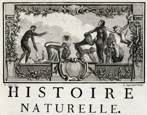 Allegoria di Storia naturale sulle scimmie - in “Storia naturale, generale e particolare” di Buffon da French School