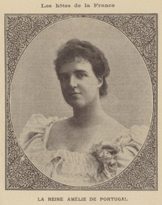Amelia d