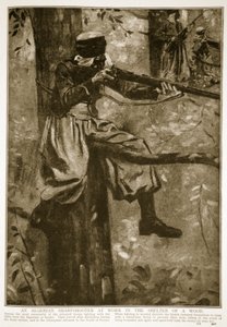 Un tiratore scelto algerino al lavoro nel riparo di un bosco, 1914-19 da French School