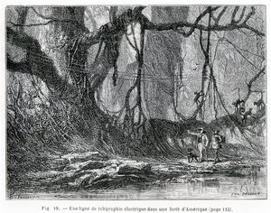 Linea telegrafica elettrica in una foresta americana, c.1870 (incisione) da French School