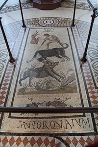 Veduta interna del Castello: mosaico da French School