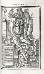 Illustrazione anatomica, 1546 da French School