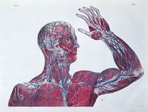 Anatomia della testa e del braccio umano, da un libro di anatomia di Francesco Antommarchi (1789-1838) inciso da Mascagni, c.1820 da French School