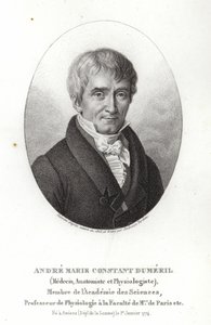 André Marie Constant Duméril da French School