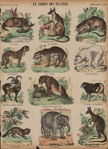 Animali al Jardin des Plantes, Parigi, Francia da French School