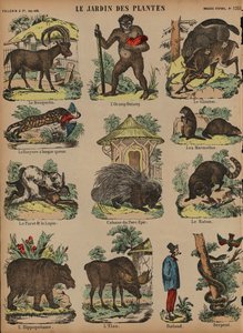 Animali al Jardin des Plantes, Parigi, Francia da French School