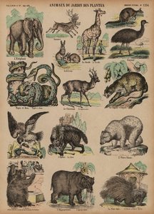 Animali del Jardin des Plantes, Parigi, Francia da French School