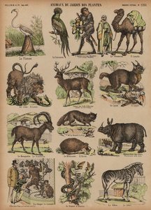 Animali del Jardin des Plantes, Parigi, Francia da French School