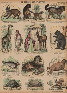 Animali del Jardin des Plantes, Parigi, Francia da French School