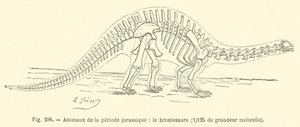 Animali del periodo giurassico, il brontosauro da French School