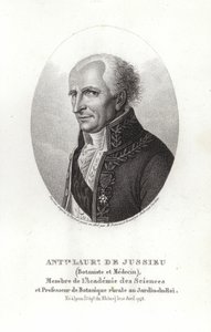 Antoine Laurent de Jussieu da French School