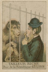 Scimmia e uomo