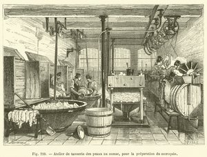 Officina di concia delle pelli al sommacco, per la preparazione del marocchino da French School