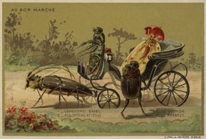 Carte Au Bon Marché con insetti antropomorfi da French School