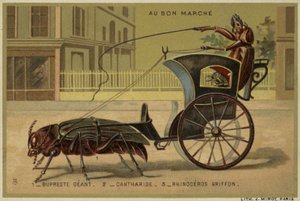 Carte Au Bon Marché con insetti antropomorfi