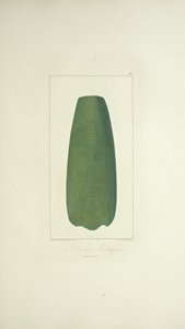 Ascia azteca, illustrazione da 