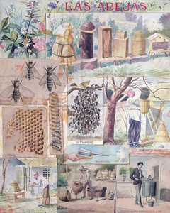 Apicoltura, illustrazione realizzata in Francia destinata alla pubblicazione in Messico, c. 1900