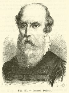 Bernard Palissy da French School