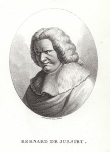 Bernard de Jussieu da French School
