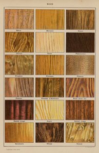 Bois (litografia a colori)