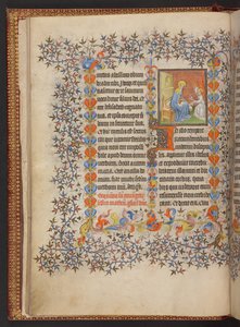 Libro d
