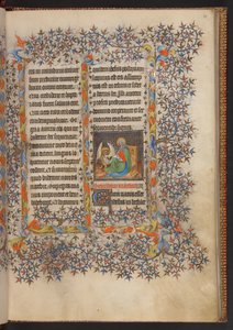 Libro d