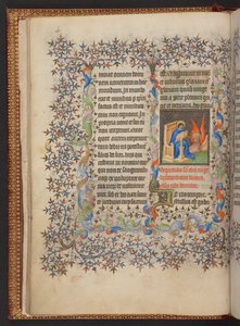 Libro d