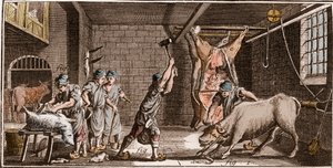 Macellaio - Macelleria - "La Grande Encyclopedie, ou Dictionnaire Raisonne des Sciences, des Arts et des Metiers" (Enciclopedia o Dizionario delle Scienze, Arti e Professioni) di Denis Diderot (1713-1784) e Jean d
