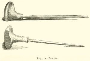 Bulini