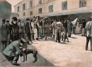 Cura di un cammello alla Ecole Nationale Veterinaire d
