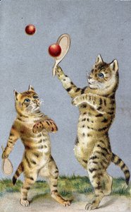 Gatti che giocano a tennis - cartolina inizio XX secolo