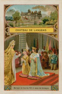 Castello di Langeais da French School