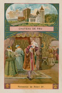 Castello di Pau da French School