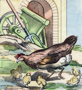 Gallina e pulcini da French School