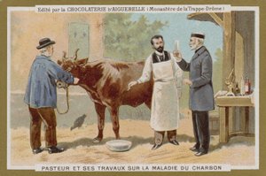 Carta commerciale Chocolat d