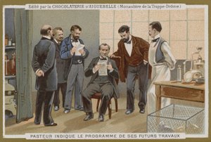 Carta commerciale Chocolat d