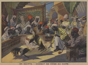 Combattimento di galli al Cairo (litografia a colori) da French School